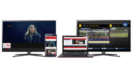450x250_Solution_Enterprise_Video_internal_TV
